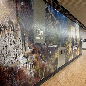 Outdoor removable adhesive